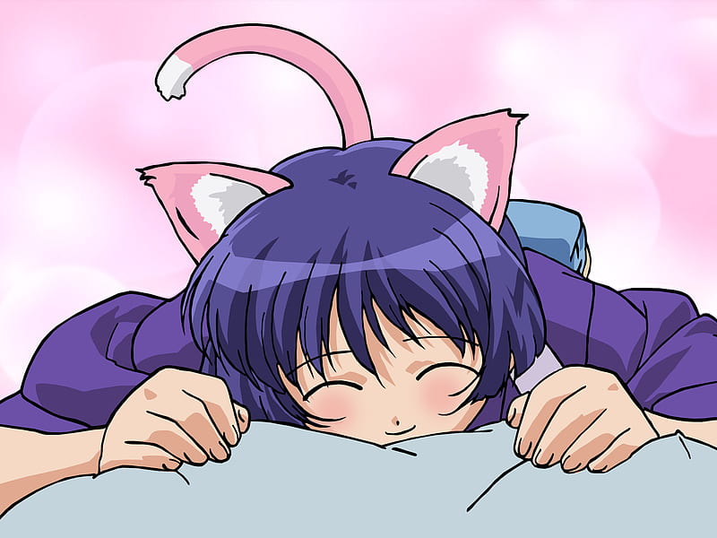 Oseba Anime kawaii Neko-Shiory - Anime kawaii Neko-Shiory