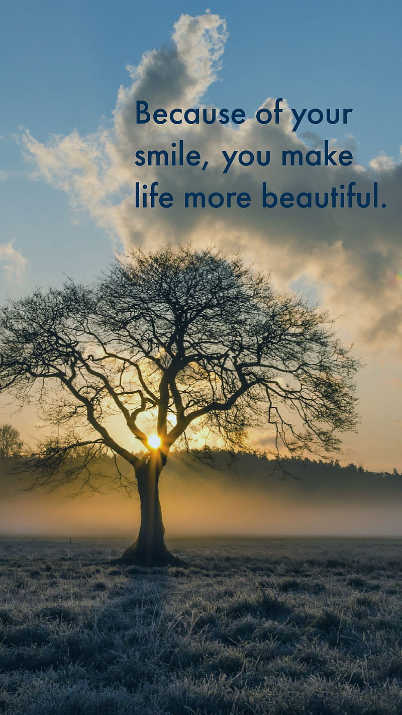 Beautiful quote, nature, HD phone wallpaper | Peakpx