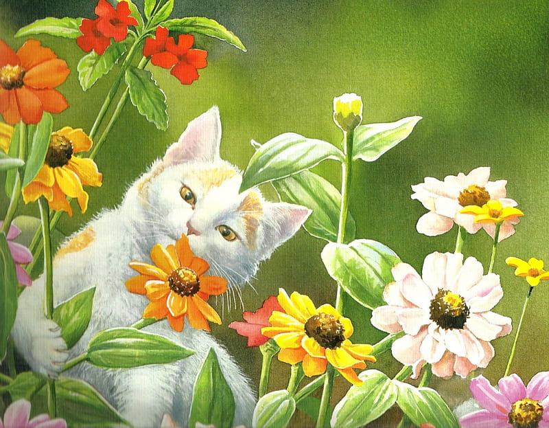 White cat smelling the flowers, cute, paws, flowers, white, cat, HD wallpaper