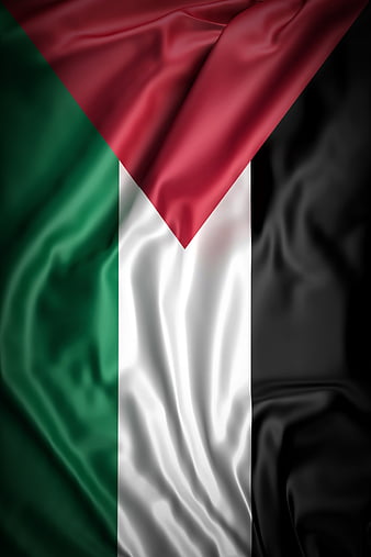 100+] Palestine Wallpapers | Wallpapers.com