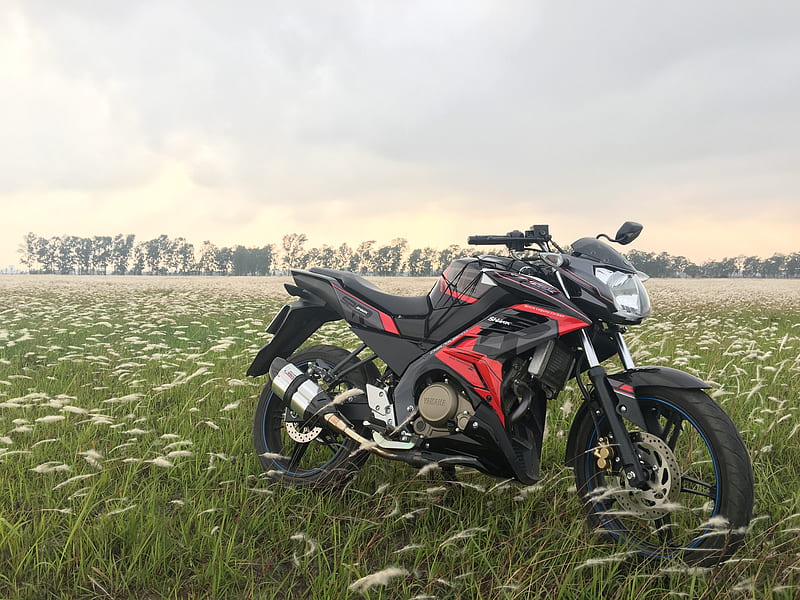 motorcycle, bike, esports, side view, field, grass, HD wallpaper
