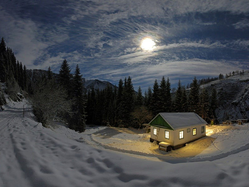 House in middle, moon, house, night, middle, HD wallpaper