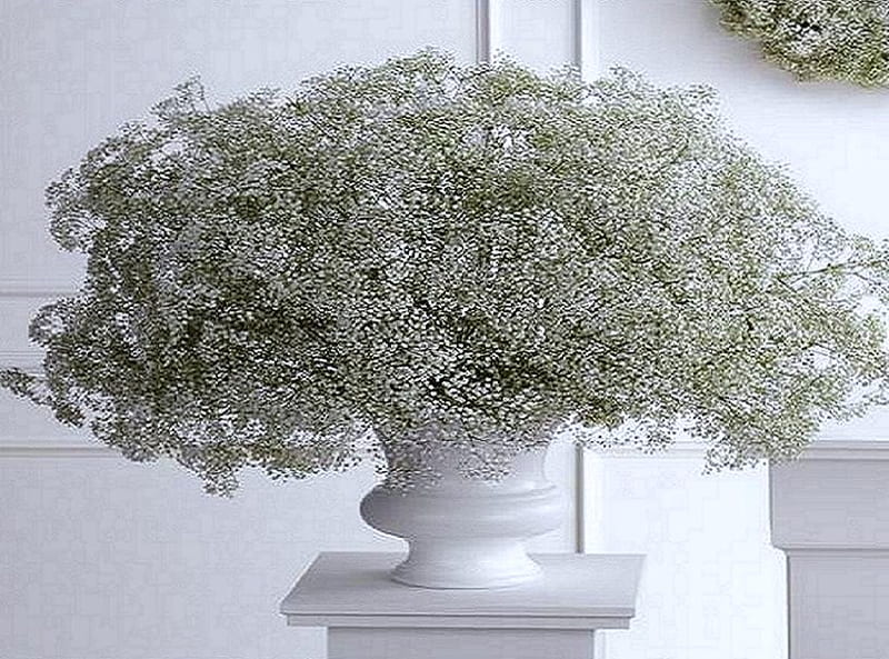 White statement, vase, white, display, pedestal, HD wallpaper