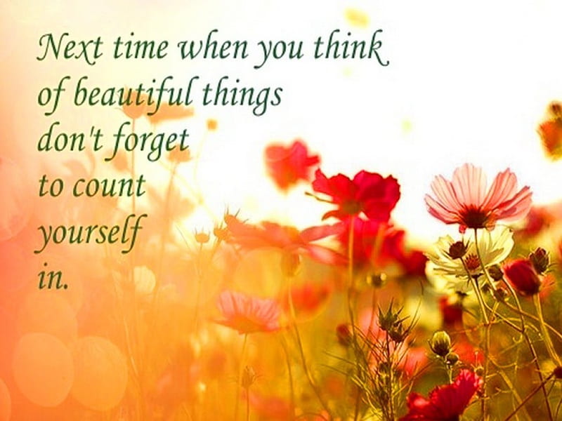 Beautiful things, poster, flowers, message, HD wallpaper