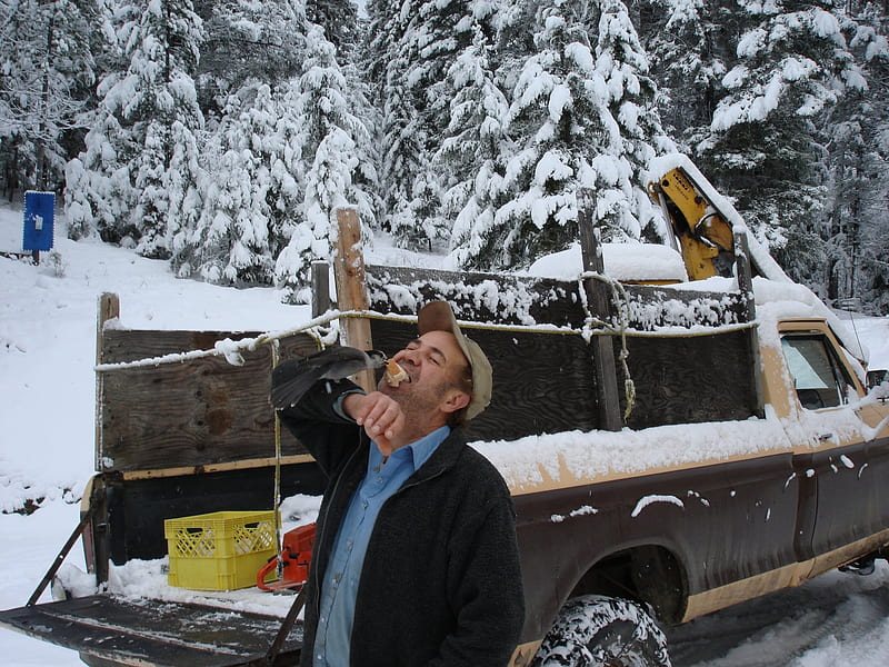 Feeding wild Whisky Jack bird, Winter, Birds, BC, Mountains, Canada, Wilderness, Wildlife, HD wallpaper