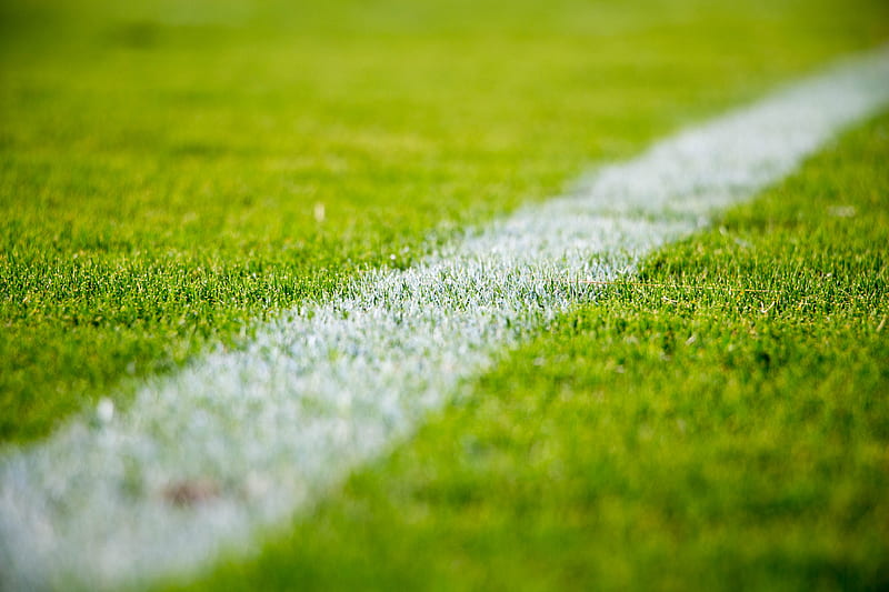 Close-up of a white line on green grass in a soccer field, HD wallpaper