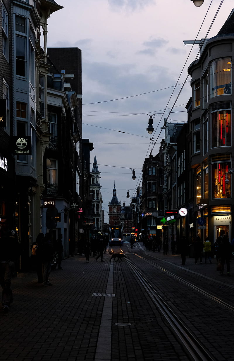 street, city, twilight, evening, movement, amsterdam, netherlands, HD phone wallpaper