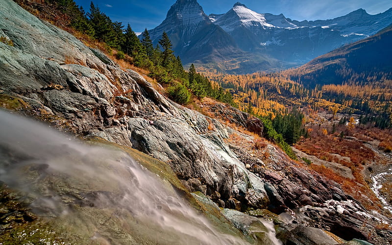 mountain landscape, valley, autumn, yellow forest, yellow trees, autumn landscape, Glacier National Park, USA, HD wallpaper