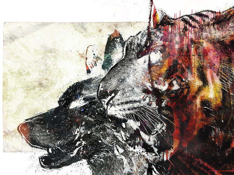 Latido de sangre, arte tigre, lobo, animales, Fondo de pantalla HD | Peakpx