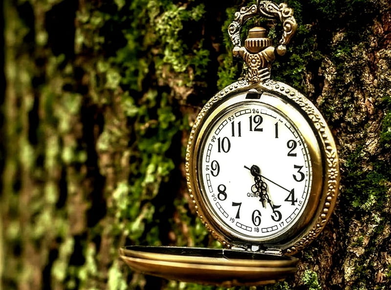 Time is running out pretty, Clock, Time, HD wallpaper