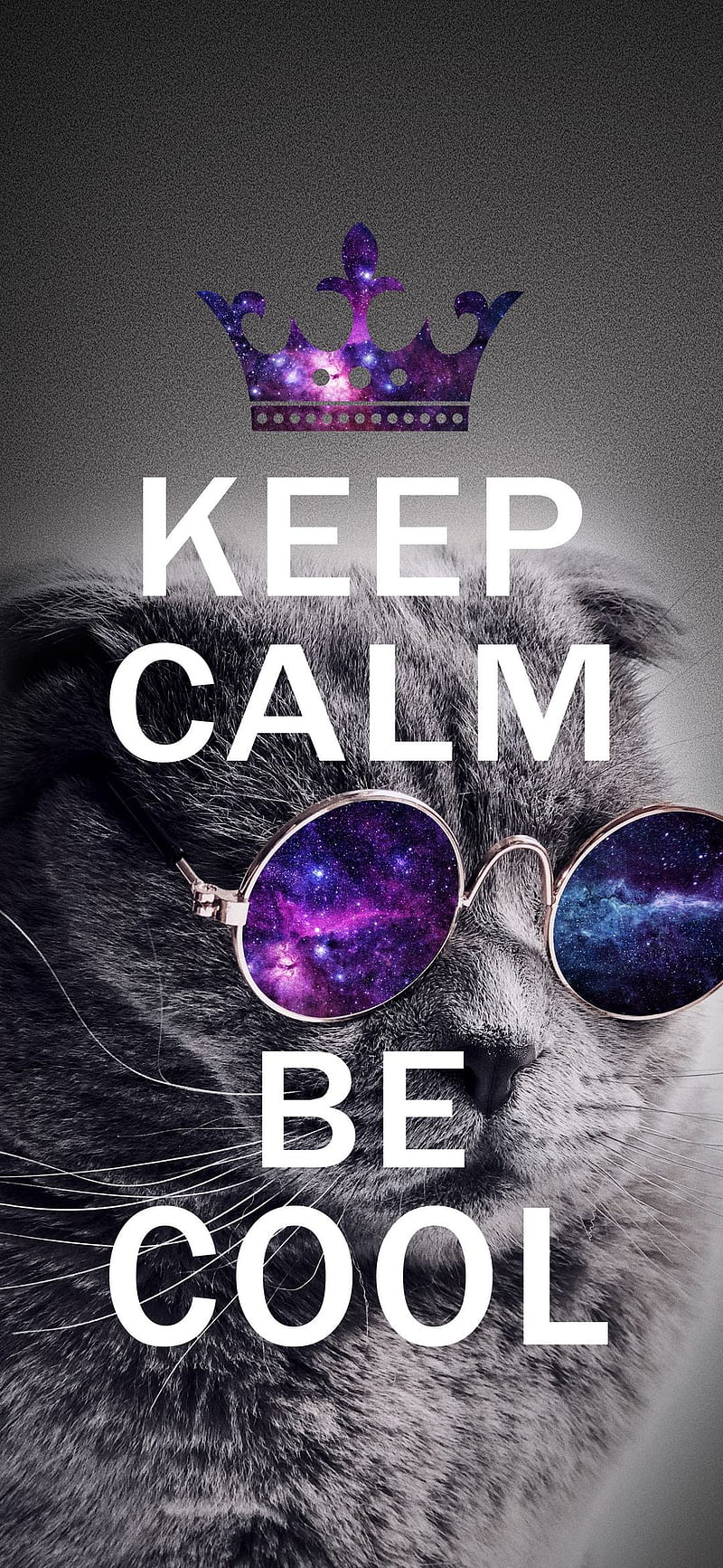 Be Cool, cat, cool, crown, glasses, purple, HD phone wallpaper
