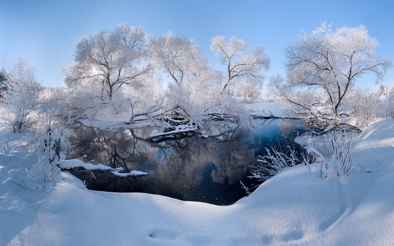 Winter Scenery, water, lovely, snow, trees, winter, HD wallpaper | Peakpx