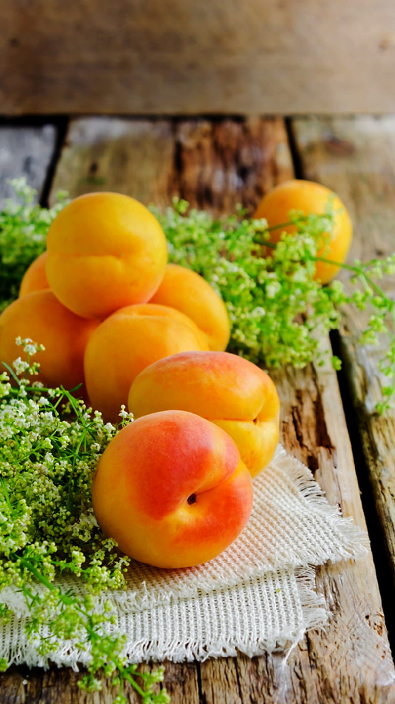 Apricot, fruits, summer, HD phone wallpaper