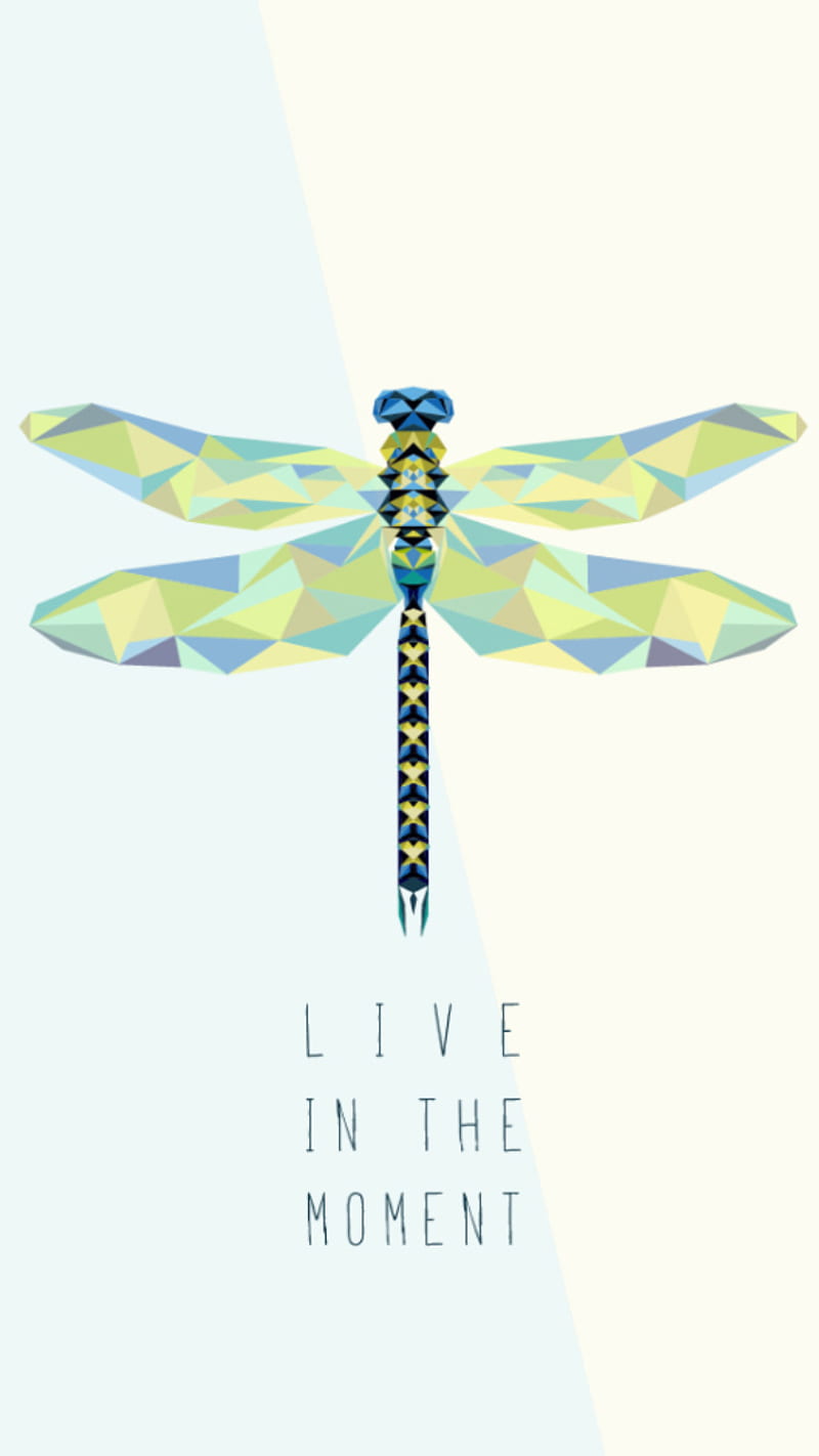 Live in the moment, dragonfly, quotes, HD phone wallpaper