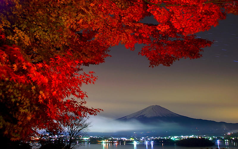 AMAZING AUTUMN, mountain, autumn, leaves, lights, night, HD wallpaper