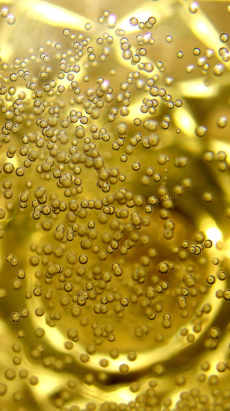 Champagne 5, alcohol, bubbles, champagne, toast, HD phone wallpaper