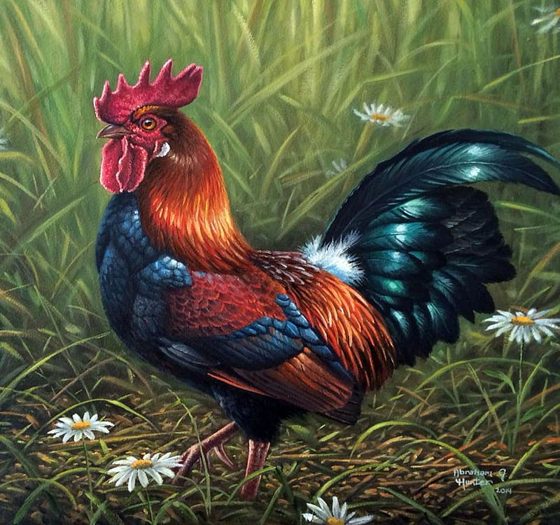 Proud Rooster, bird, painting, poultry, colors, artwork, HD wallpaper
