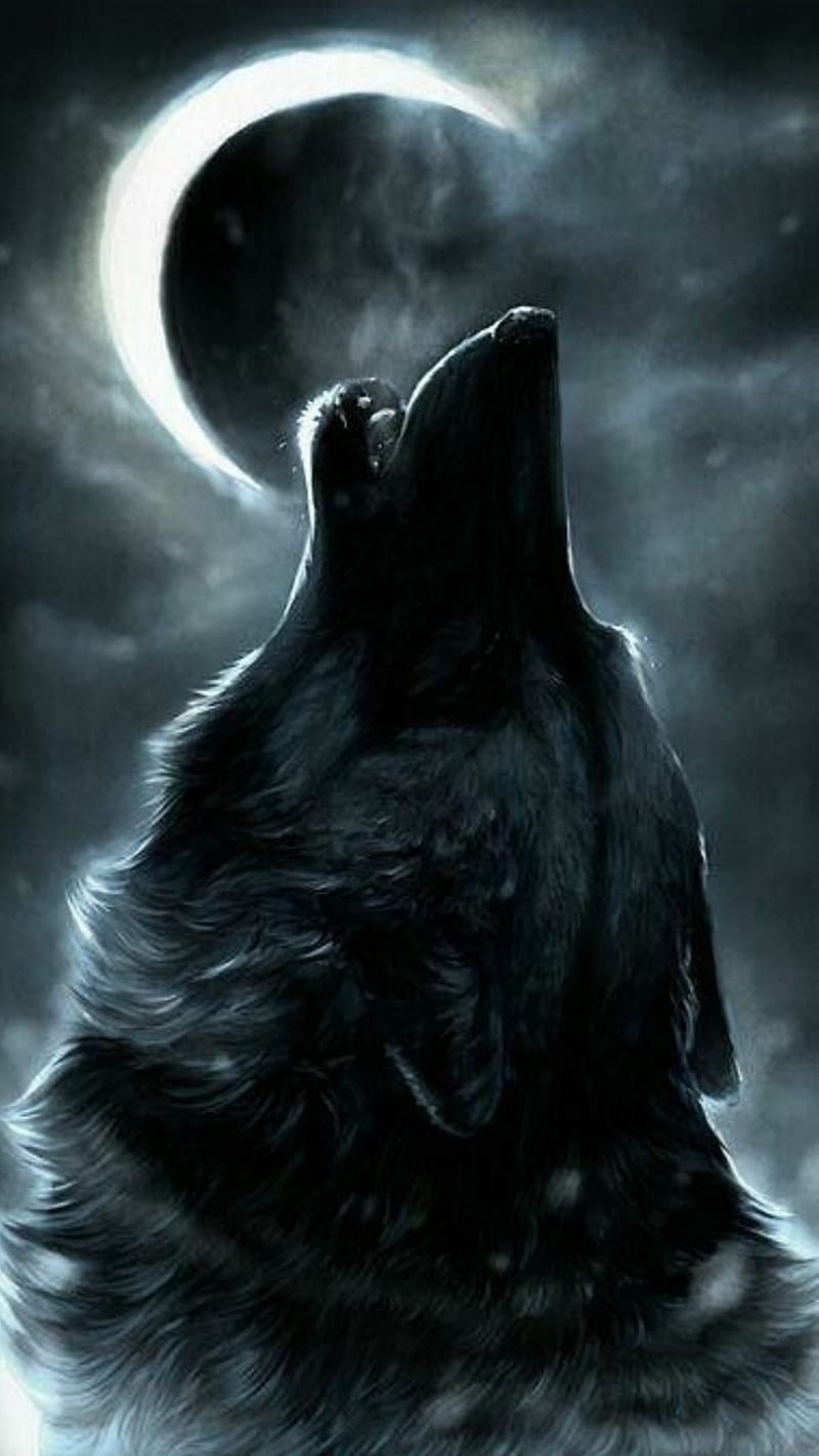 Night wolf, lone, moon, HD phone wallpaper
