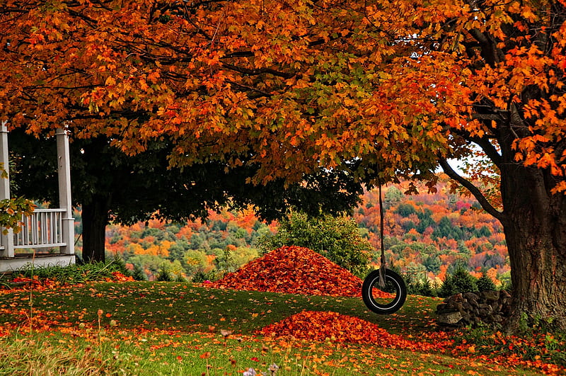 Autumn Swing, Fall, grass, trees, yard, leaves, tire swing, porch, swing, railing, tire, Autumn, HD wallpaper
