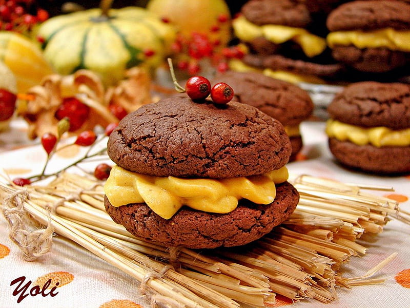 Chocolate Biscuits, cookies, autumn, delicious, food, chocolate, biscuits, dessert, sweet, HD wallpaper