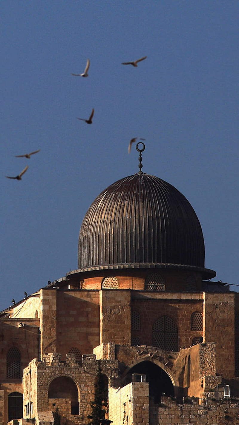 El Aqsa Jerusalem jerusalem, mosque, pelestine, HD phone wallpaper | Peakpx