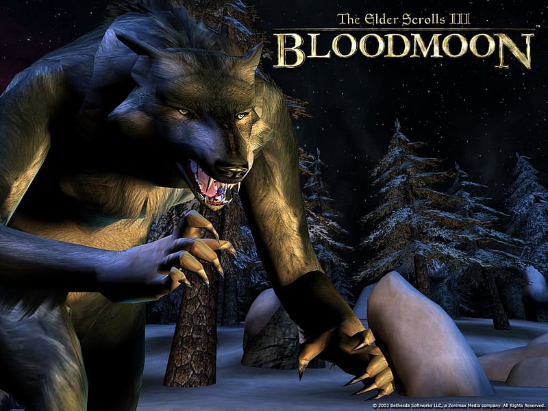 Werewolf, Video Game, The Elder Scrolls Iii: Bloodmoon, The Elder Scrolls, HD wallpaper