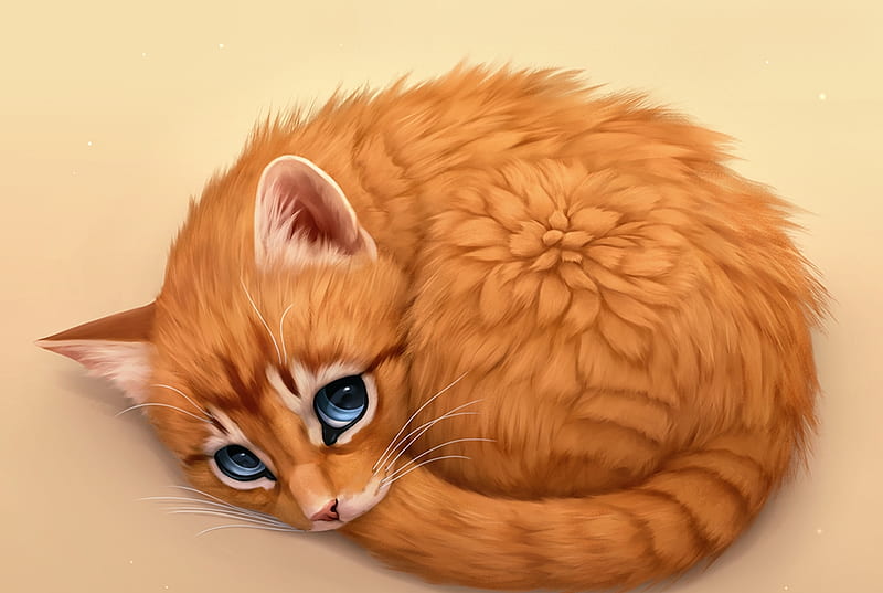 Ball Of Cat Orange Ginger Blue Eyes Cat Pisici Chiakiro Frumusete Luminos Hd Wallpaper Peakpx