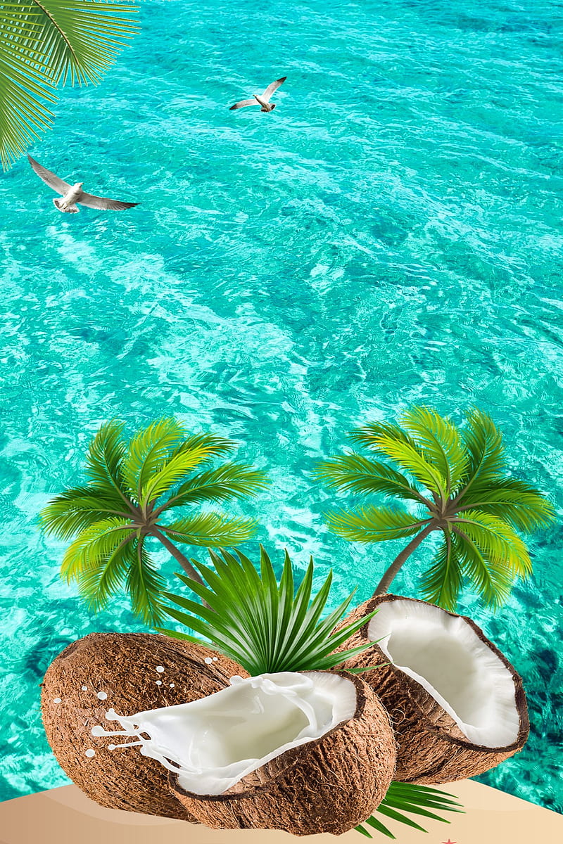 Coconut Splash, beach, bird, ocean, palm, sea, seagull, summer, tree, water, HD phone wallpaper
