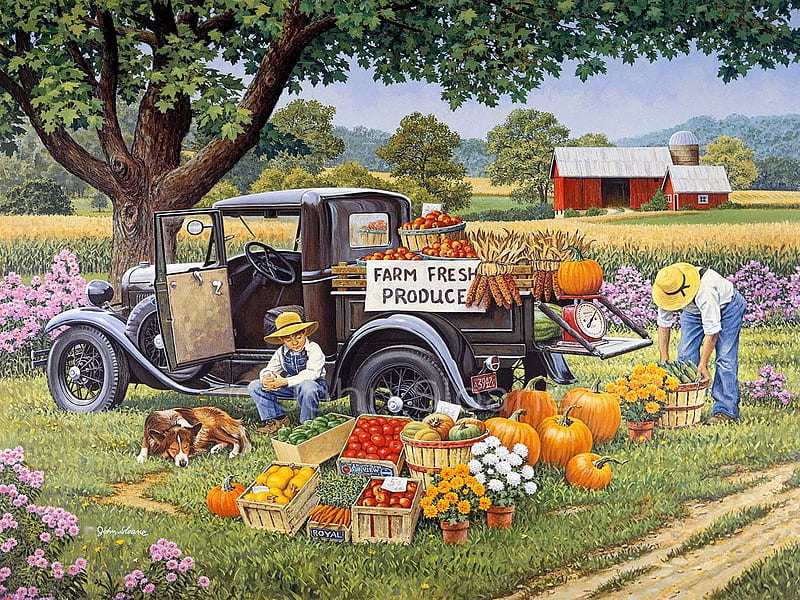 Home Grown, pumpkins, barn, apples, painting, car, flowers, tree, countryside, HD wallpaper