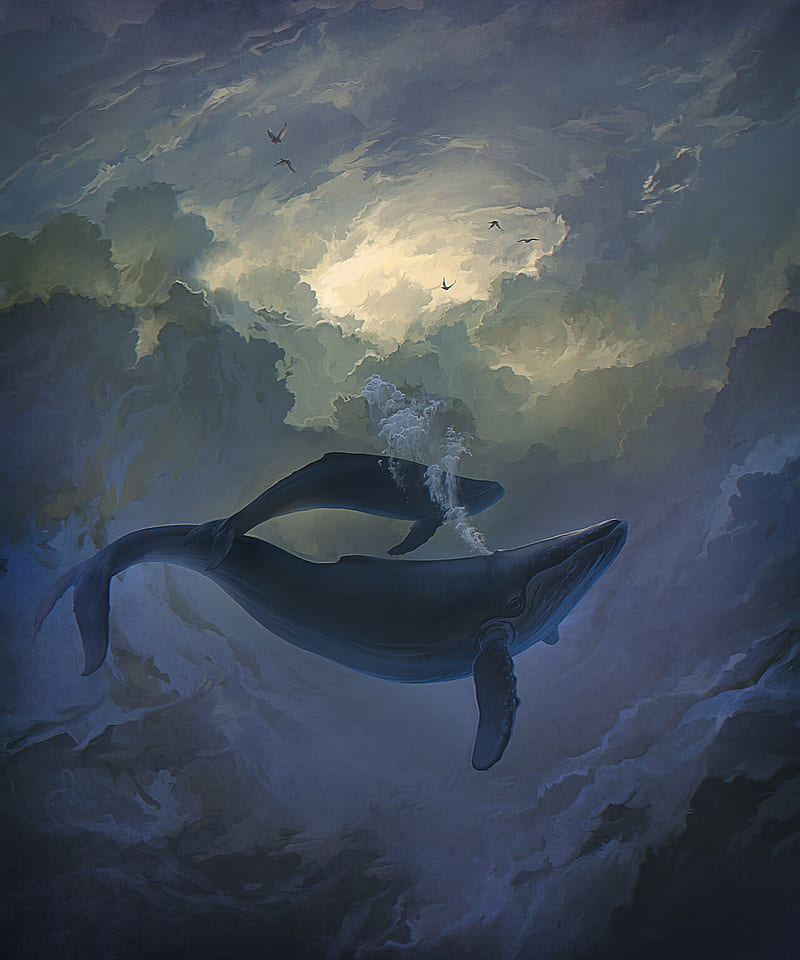 fantasy art, digital art, whale, flying, clouds, birds, HD mobile wallpaper