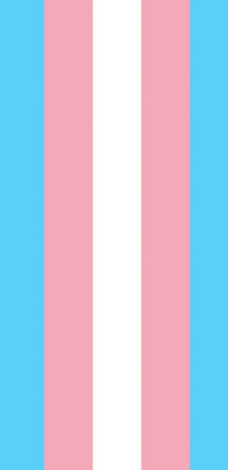 Transexualflag, flag, lgbtq, life, love, men, trans, transexual, transition, women, HD phone wallpaper
