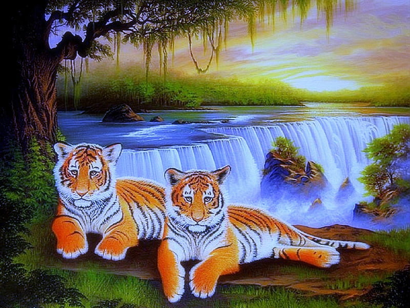 Tigers at Waterfalls, family, grass, paintings animals, tigers, attractions in dreams, bonito, digital art, paintings, tiger family, landscapes, forests, scenery, drawings, animals, falls, lovely, colors, love four seasons, creative pre-made, trees, waterfalls, plants, wildlife, nature, HD wallpaper