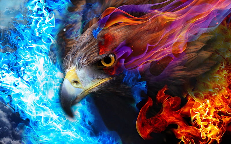 Eagle, art, fire, abstract, HD wallpaper