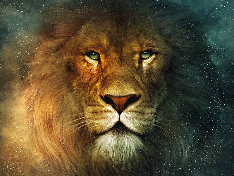 Narnia Lion, king, nose, mouth, cat, lion, animal, entertainment, strong, movies, eyes, fur, HD wallpaper