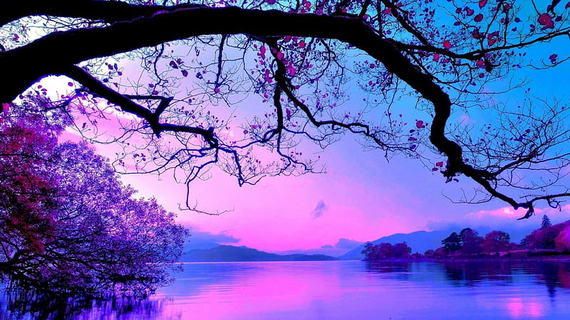 tree over a lake in purple shades, sky, purple, trees, lake, HD wallpaper