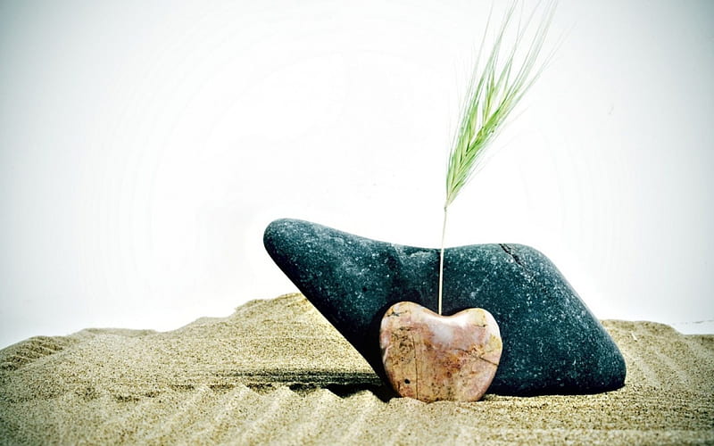 Stones , rock, wheat, spike, plant, rye, forma, stones, sand, love, heart, HD wallpaper