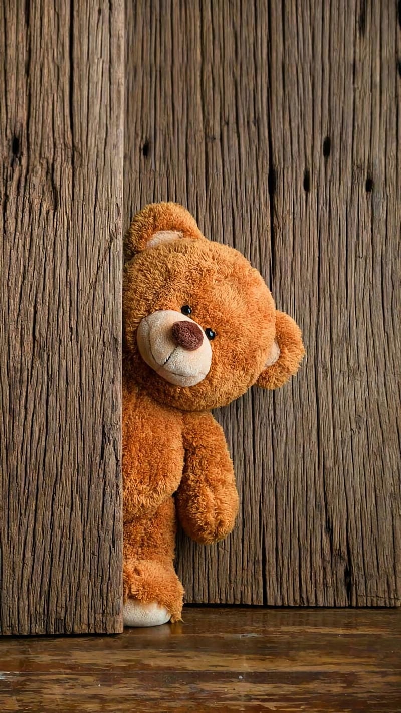 bear chibi: Meer dan 1.760 rechtenvrije licentieerbare stockvectoren en  vectorcreaties | Shutterstock