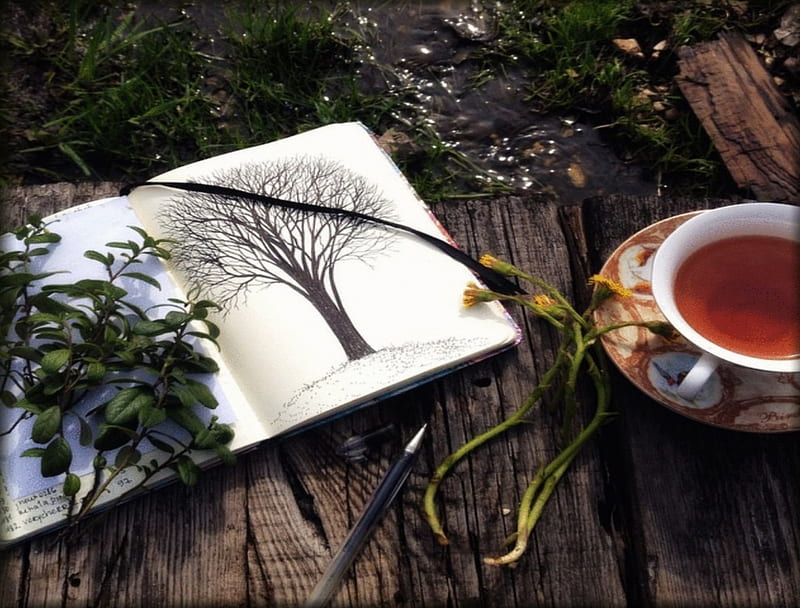 *moments*, book, herbs, table, water, HD wallpaper