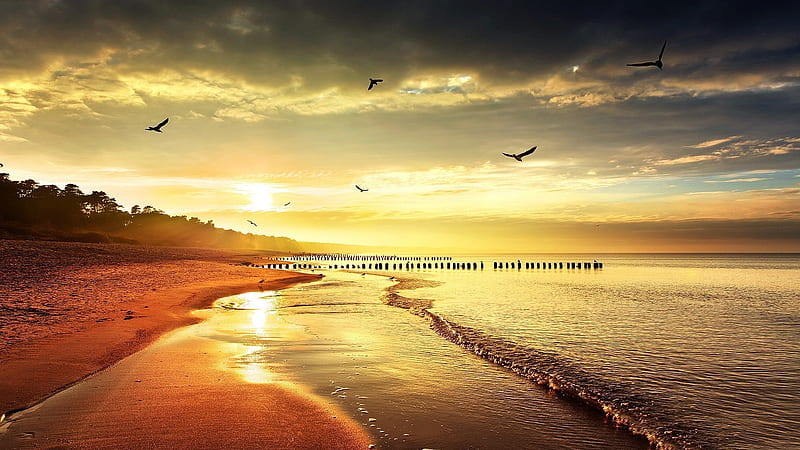 Beach Sunset Scenery-s, HD wallpaper