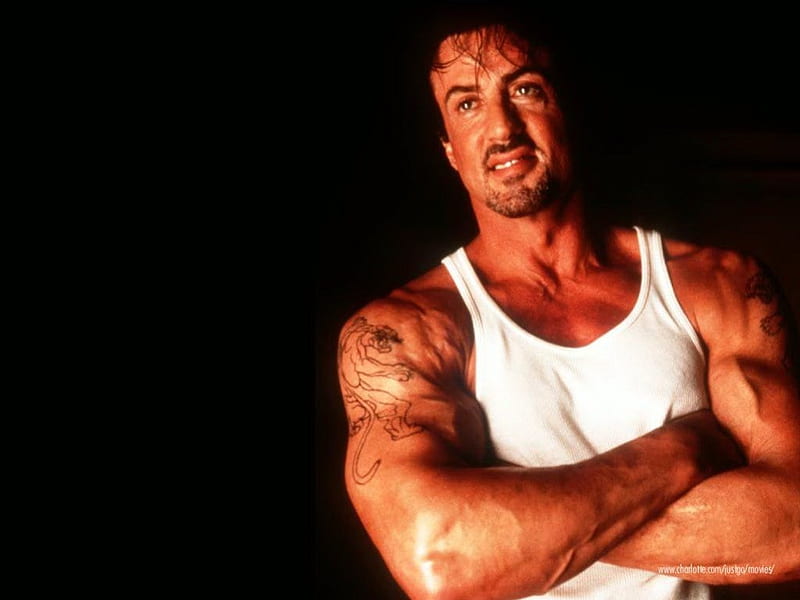sylvester stallone, actors, people, HD wallpaper