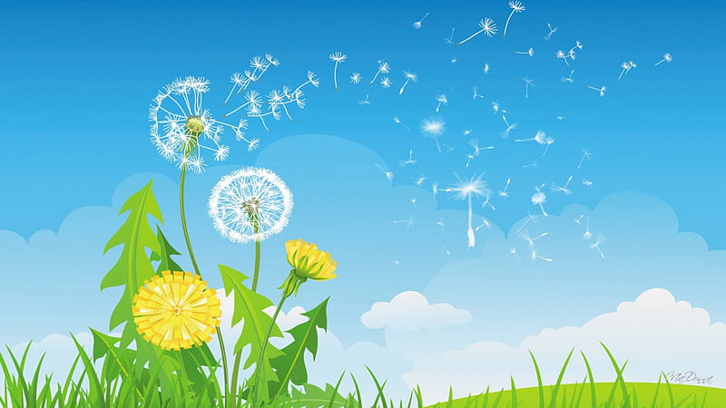 Flight of the Dandelions, fall, autumn, grass, dandelions, scatter, spring, sky, clouds, seeds, leaves, summer, flowers, lawn, weeds, HD wallpaper