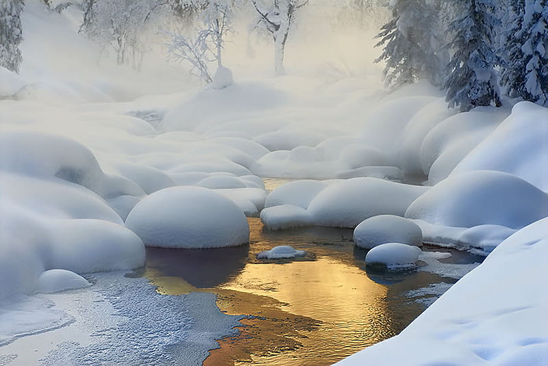 Color Palette Ideas from Reflection Winter Water Image