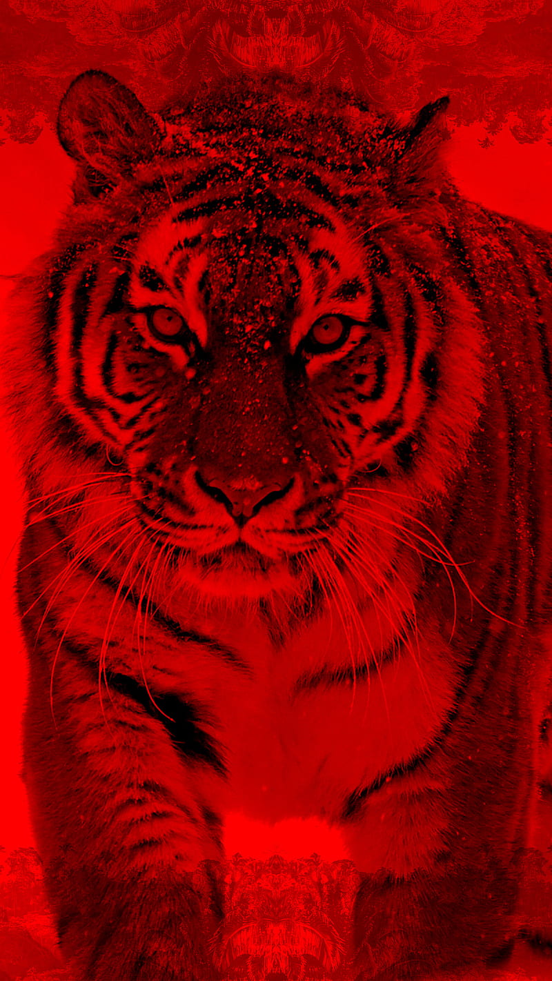 INSTINCT TIGER FULL, animal, desenho, jungle, monkyal, power, red, roar, savage, HD phone wallpaper