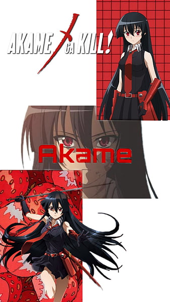 Anime Akame ga Kill! HD Wallpaper by drag009