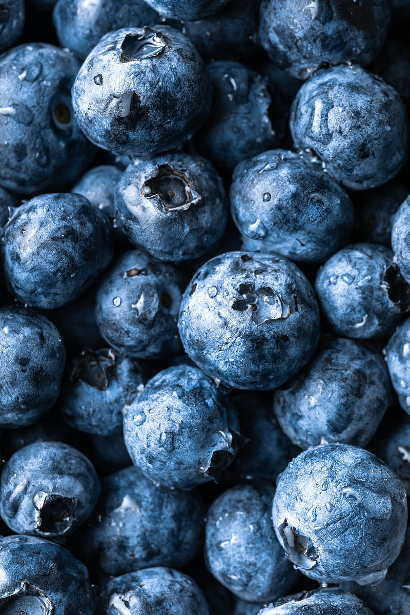 blueberries, berry, fruit, macro, HD phone wallpaper
