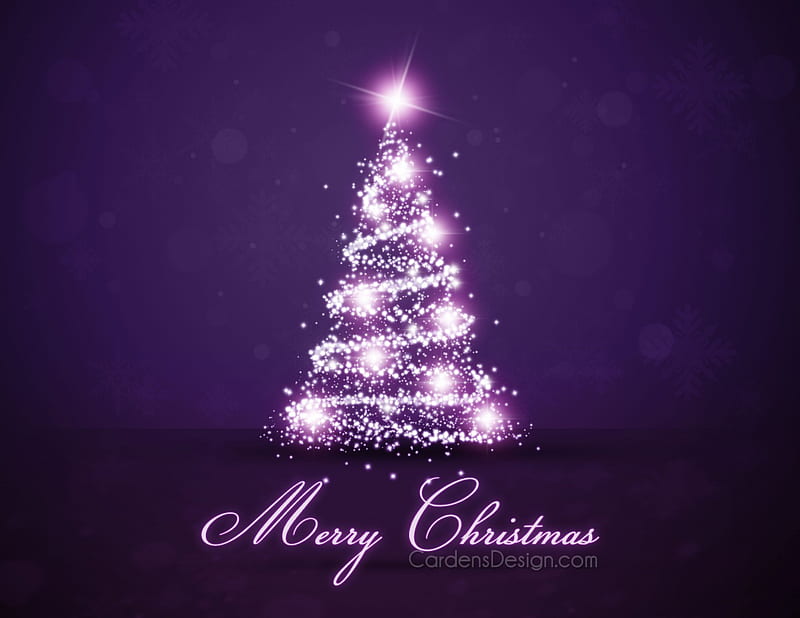 Wallpaper Christmas Day Christmas Ornament Purple Christmas Decoration  Pink Background  Download Free Image