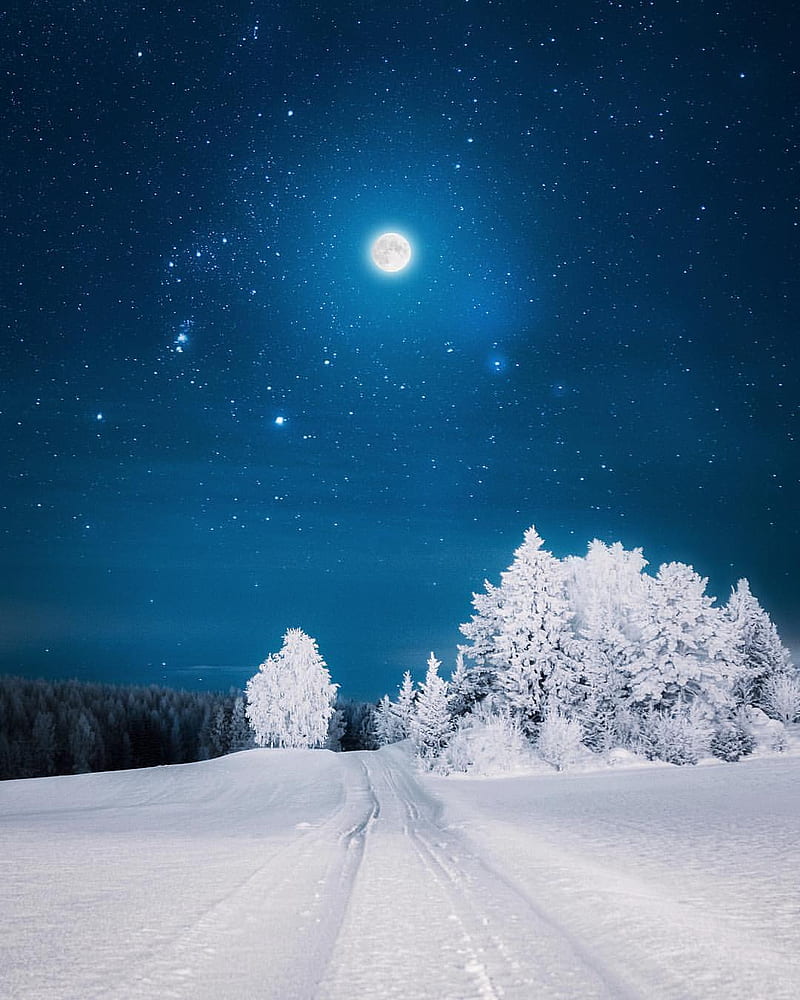 Moonshine, winter, landscape, snow, trees, moon, sky, stars, night, nature, starry sky, HD phone wallpaper