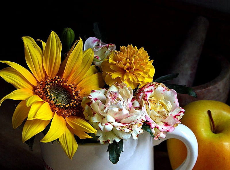 CUP OF FLOWERS, MARIGOLDS, BLACK EYED SUSANS, CUP, FLOWERS, HD wallpaper