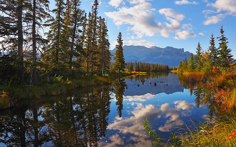 Jasper National Park, autumn, lake, forest, Canada, HD wallpaper | Peakpx