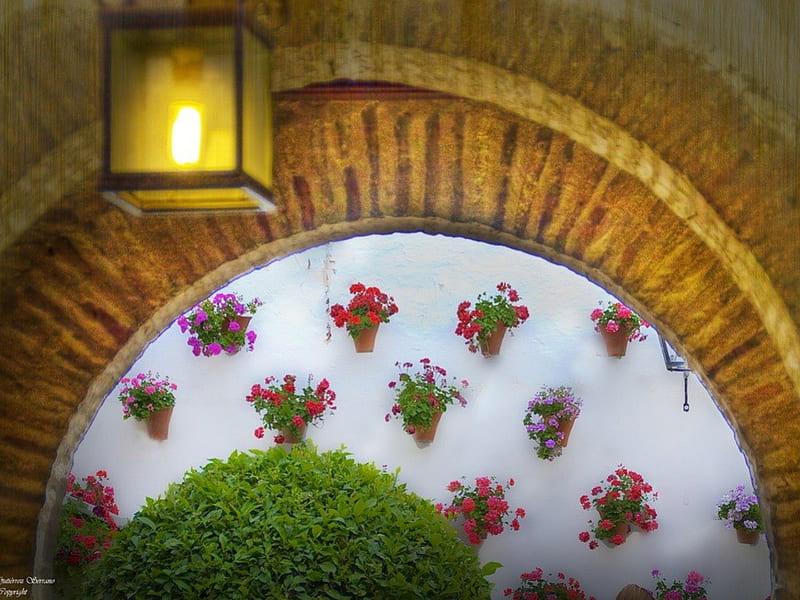 Decorated Patio Wall, pots, circle, stone, plants, flowers, hanging, wall, light, HD wallpaper